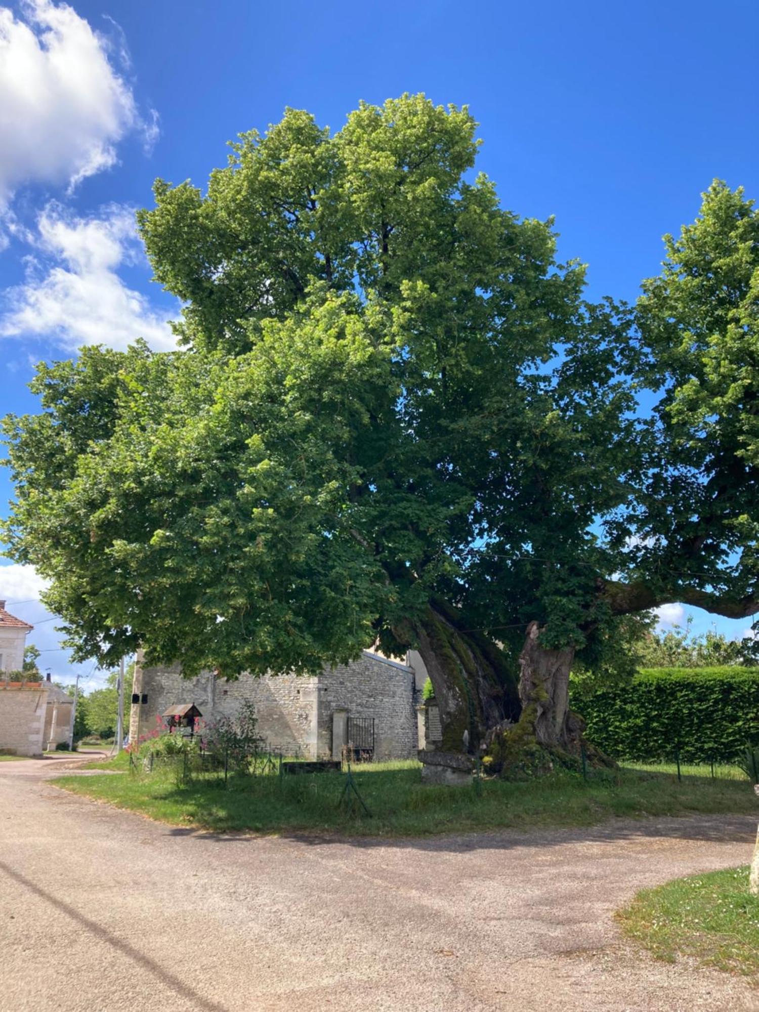 Sougeres-en-PuisayeLongere Campagne 10 Pers. Proche Guedelon别墅 外观 照片